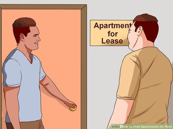 Step 12