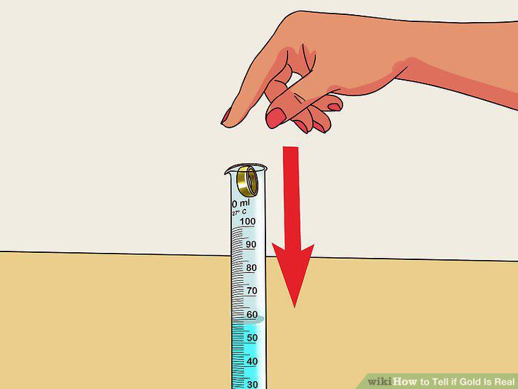 Step 12
