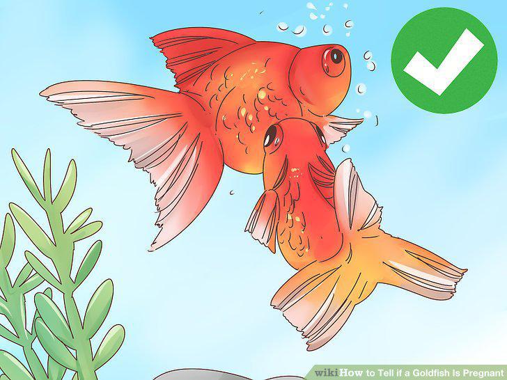 Step 5
