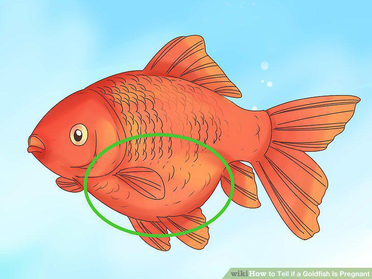Step 8