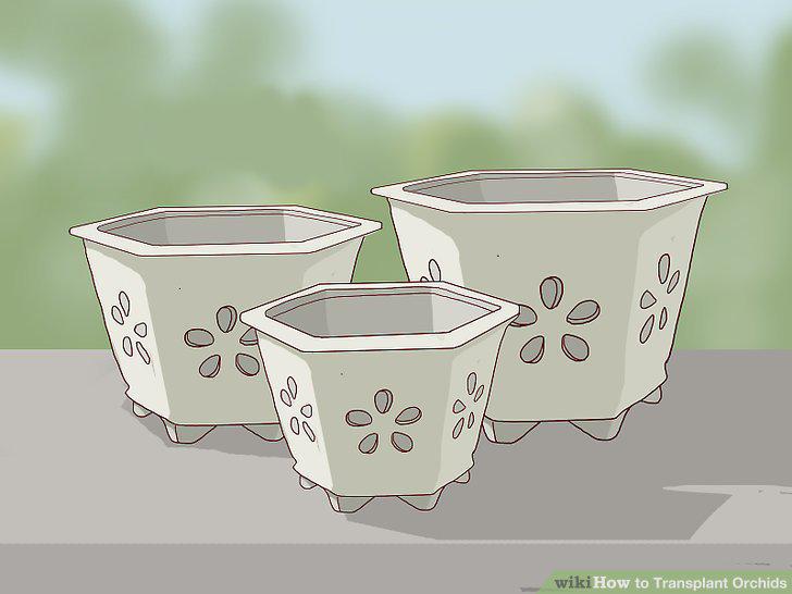 Step 2