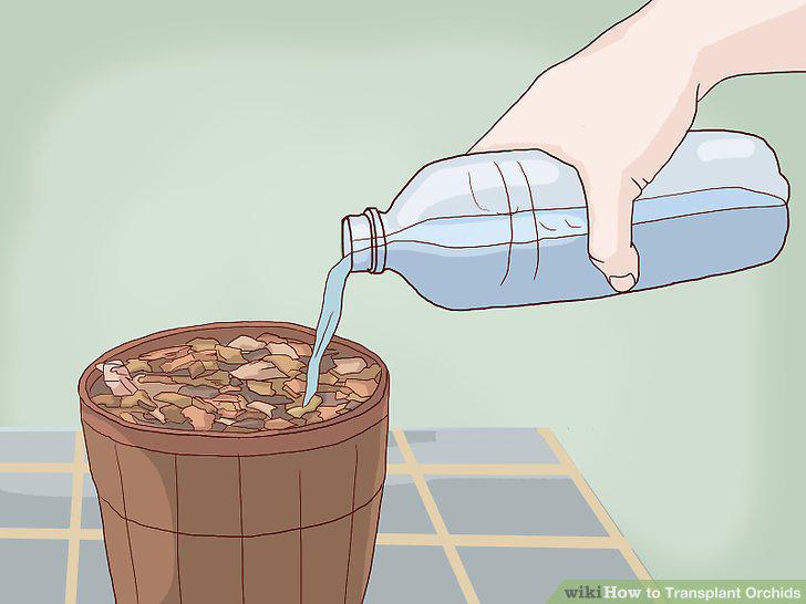 Step 5