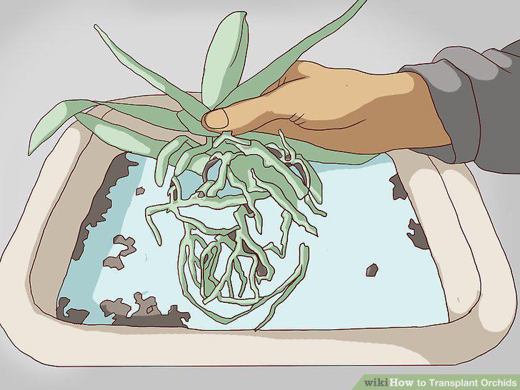 Step 8