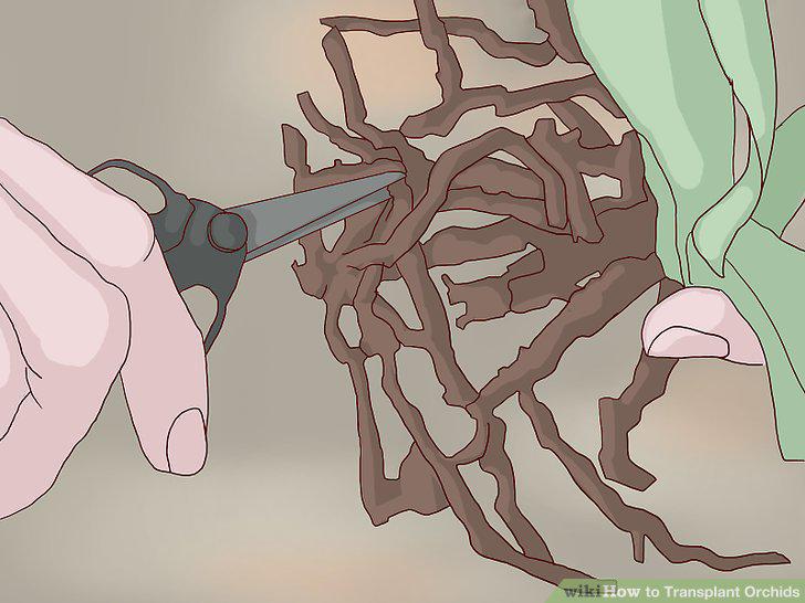 Step 9