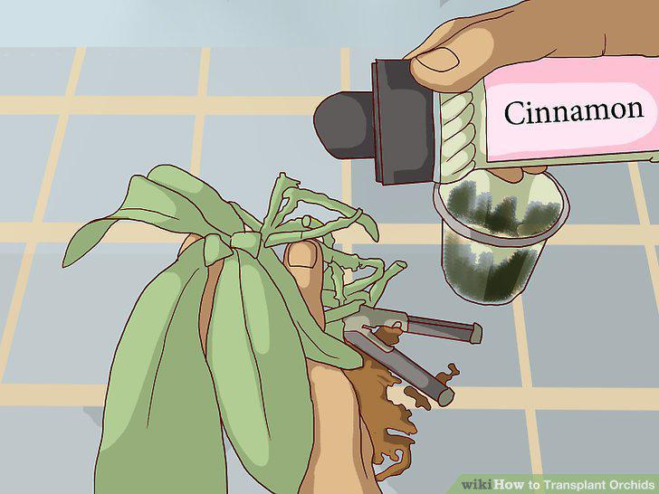 Step 10