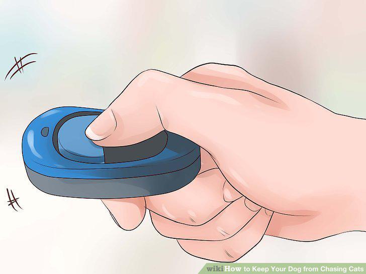 Step 11