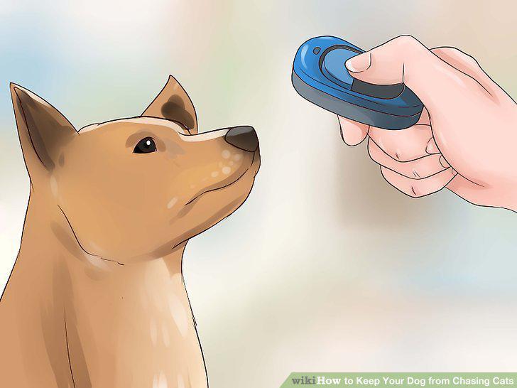 Step 12