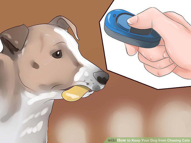 Step 13