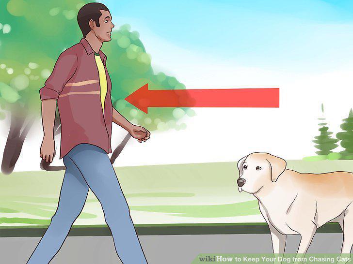 Step 14