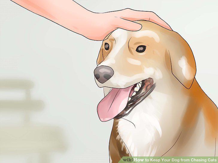 Step 15