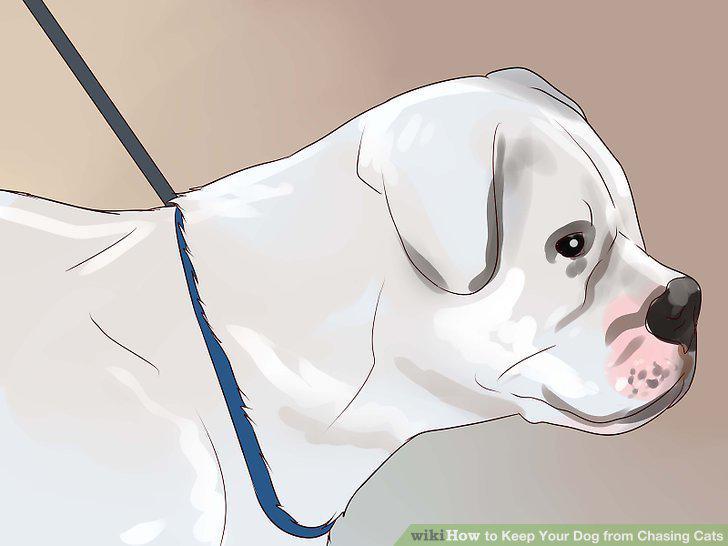Step 16