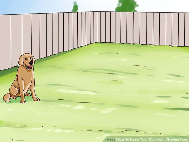 Step 17