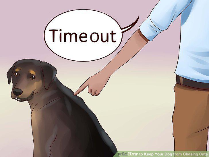 Step 21