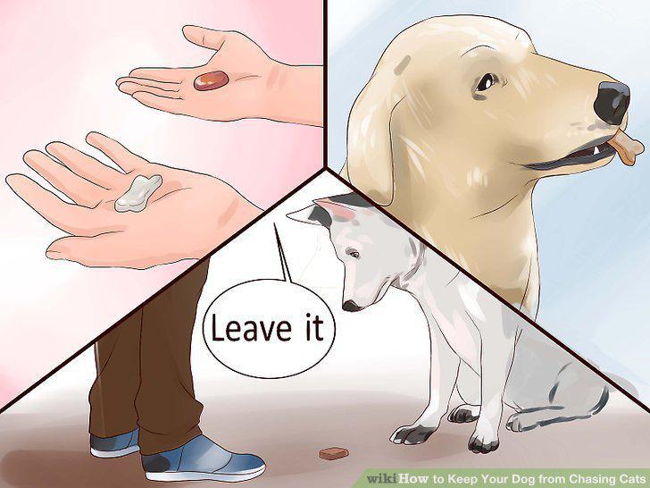Step 9