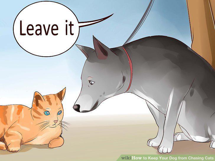 Step 10