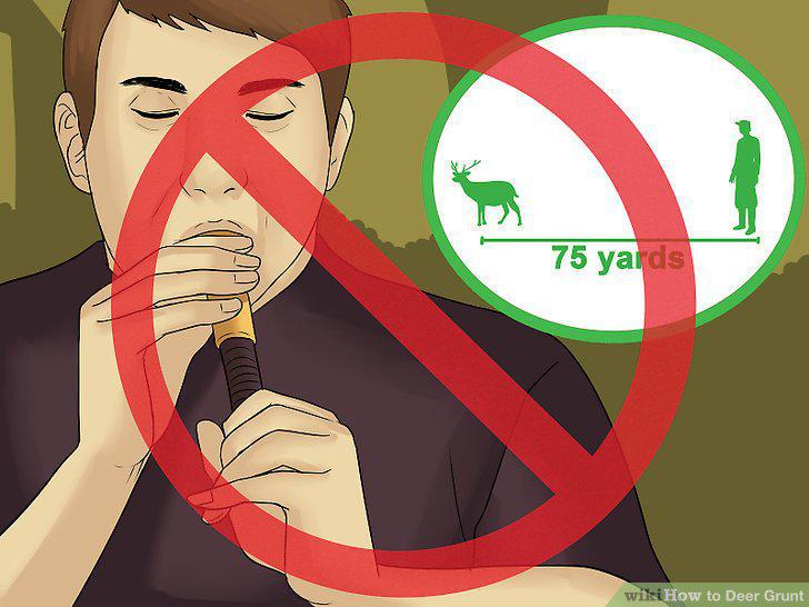 Step 12