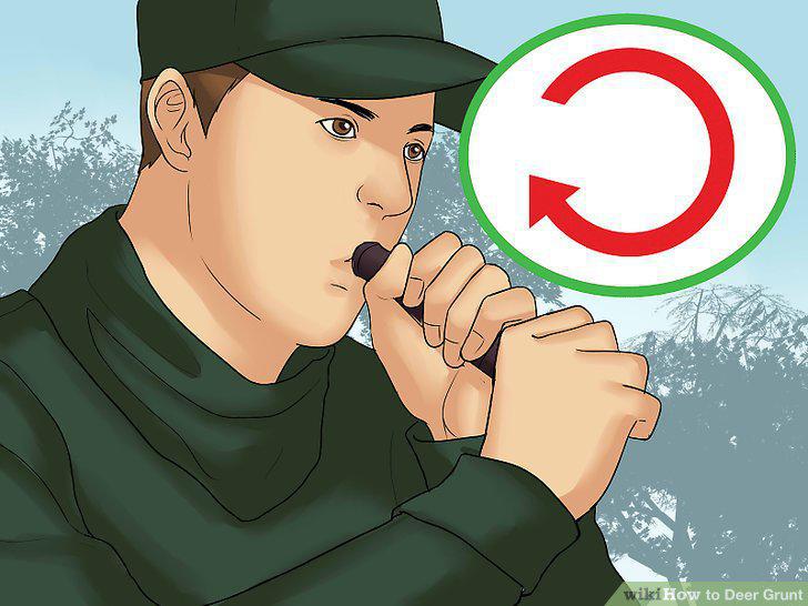 Step 14
