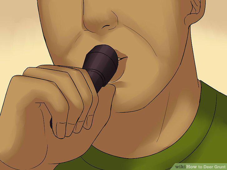 Step 10