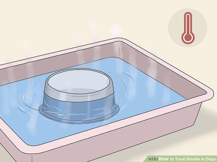 Step 11