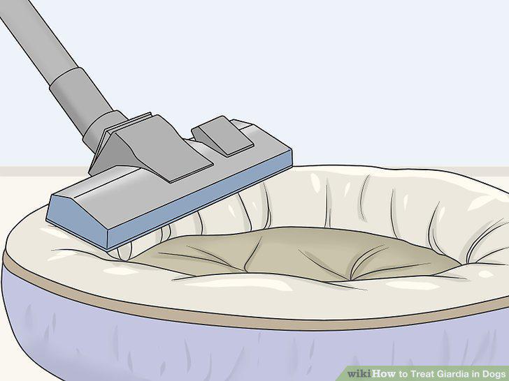 Step 12