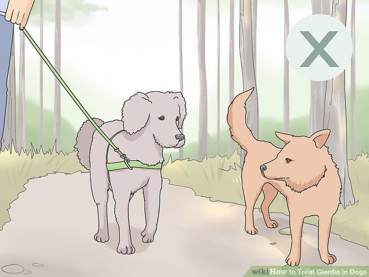 Step 13