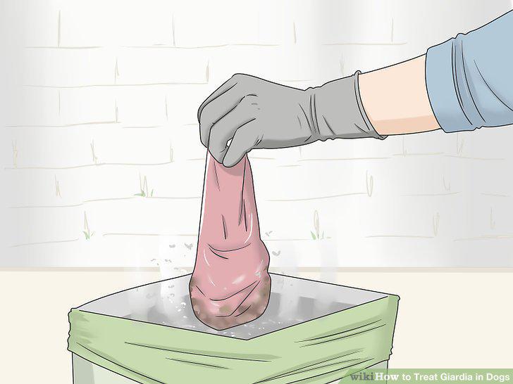 Step 14