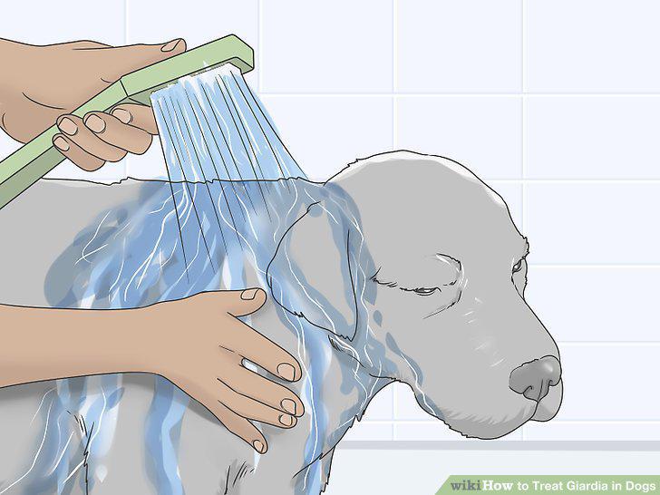 Step 8