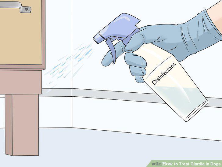 Step 10