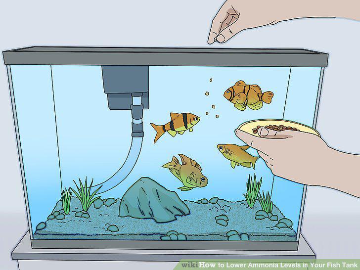 Step 11