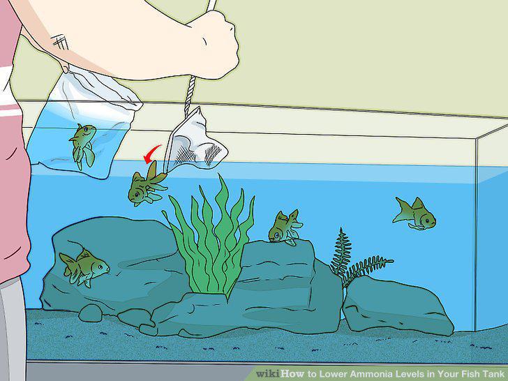 Step 6