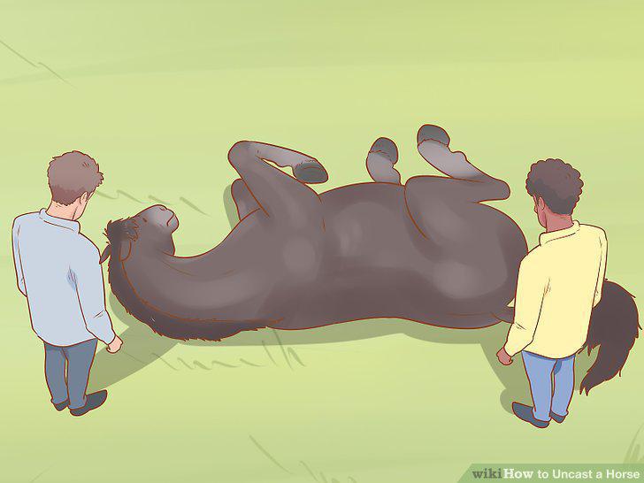 Step 11