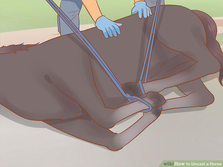 Step 12