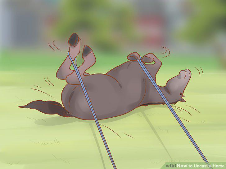 Step 13