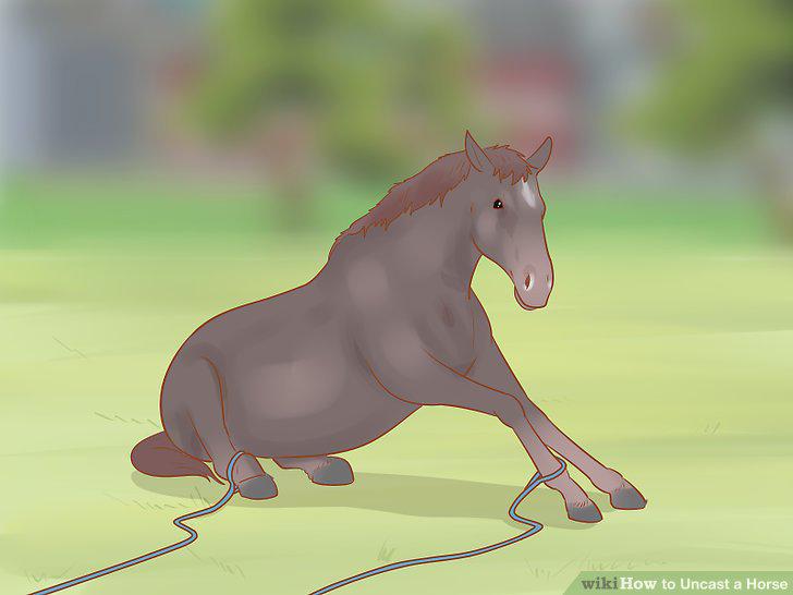 Step 14