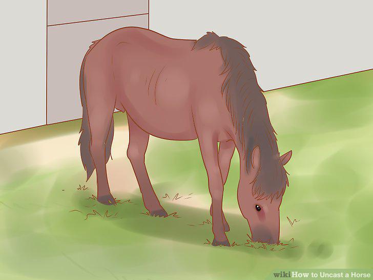 Step 15