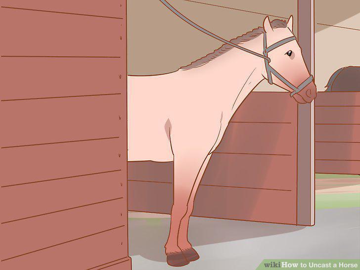 Step 16