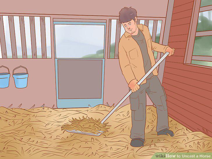 Step 17