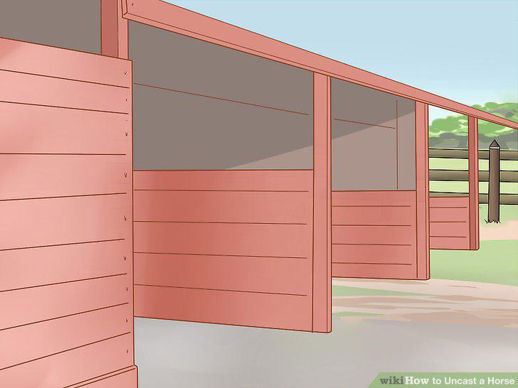 Step 18