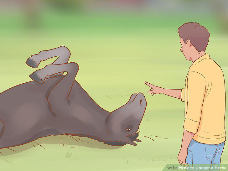 Step 10