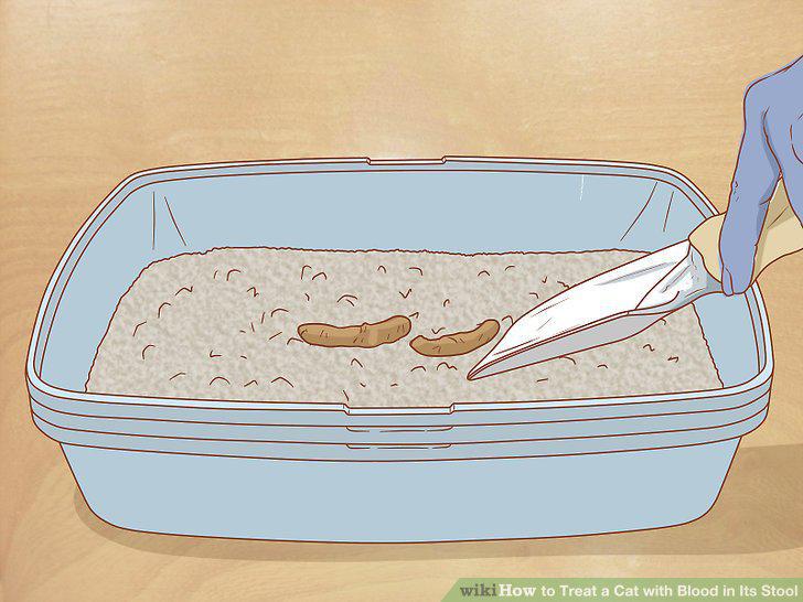 Step 2