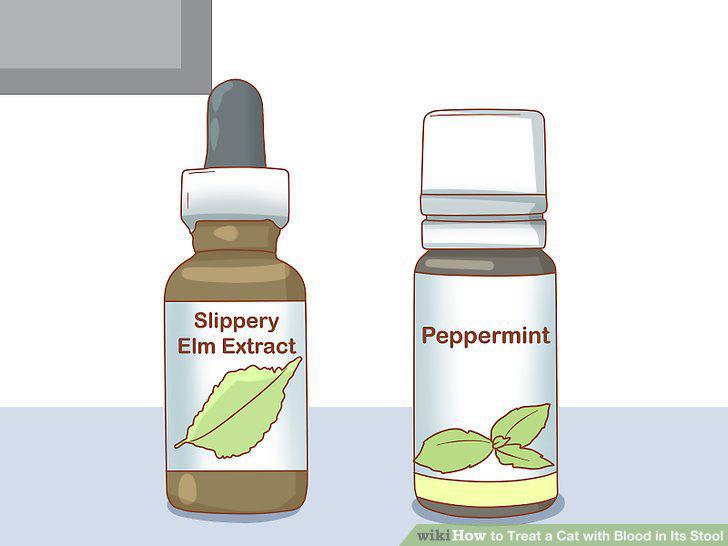 Step 11