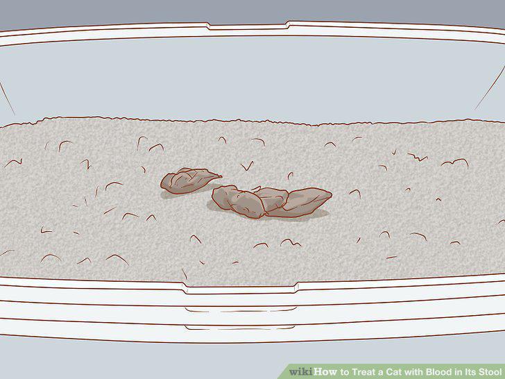 Step 13