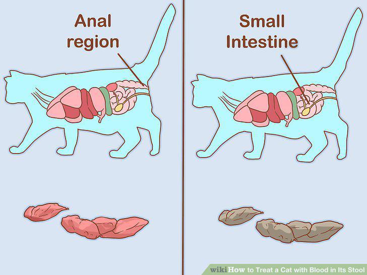 Step 14