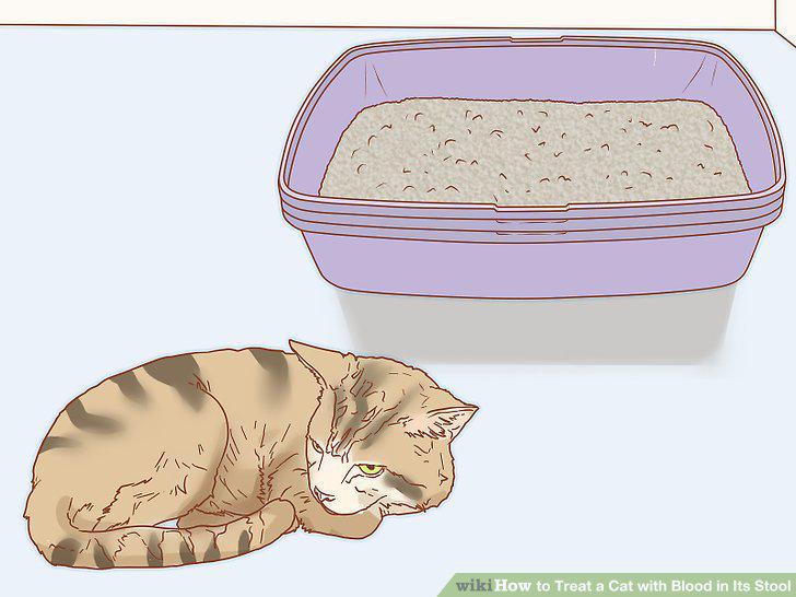 Step 16