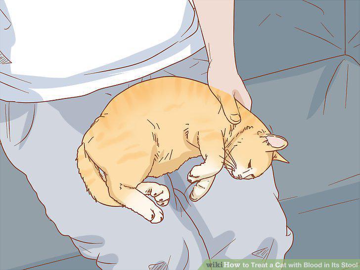 Step 10