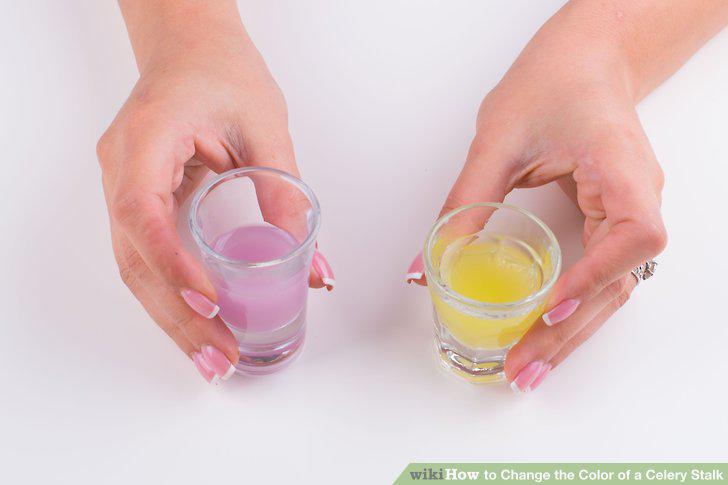 Step 10
