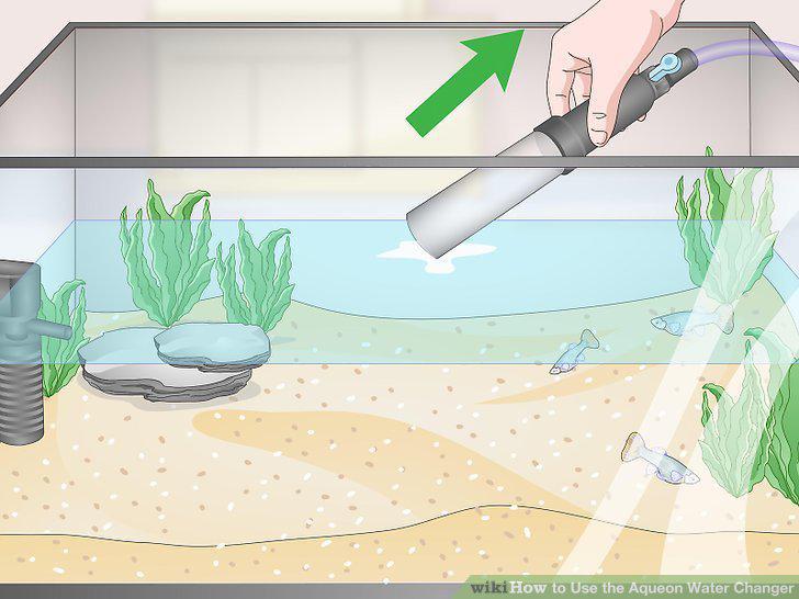 Step 11