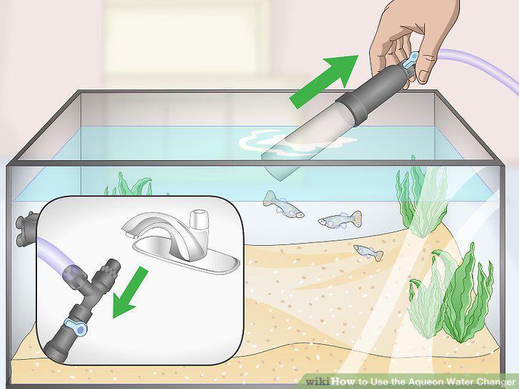 Step 16