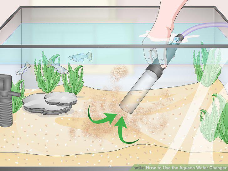 Step 10