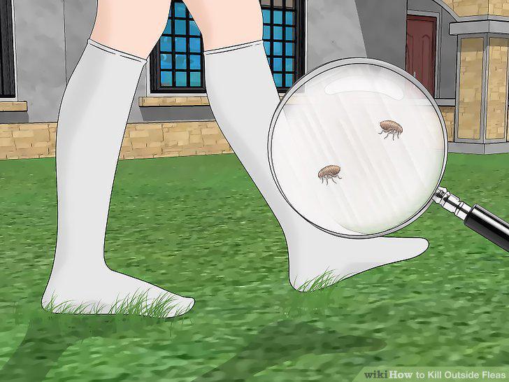 Step 11